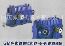 GM斜齒輪、錐齒輪減速器